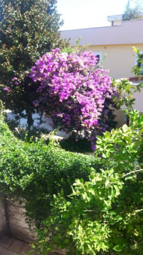 Hotels in Amorosi
